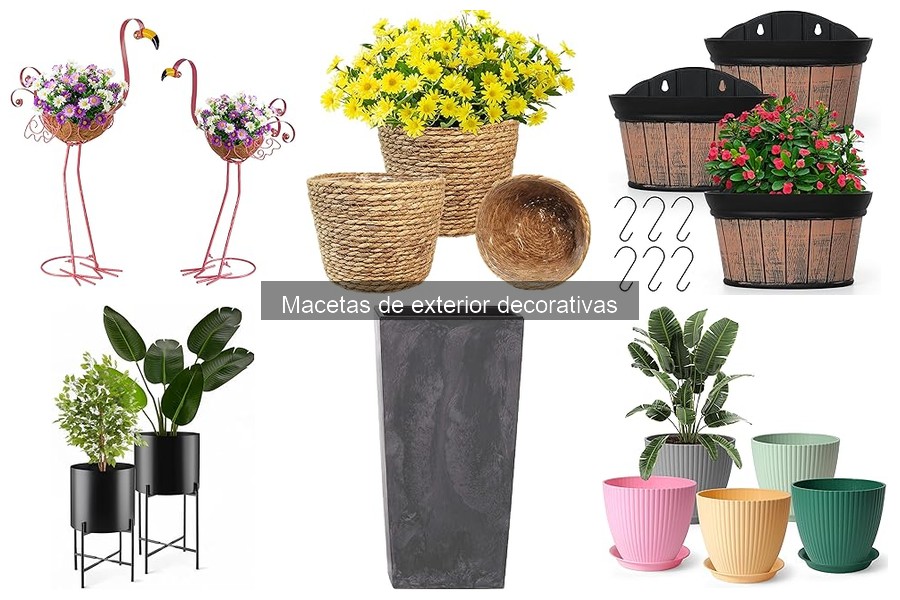 Problemas Comunes con Macetas Decorativas de Exterior