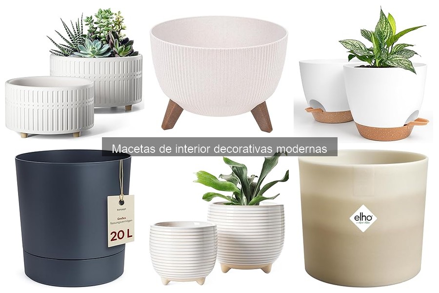 Problemas comunes con macetas decorativas modernas de interior