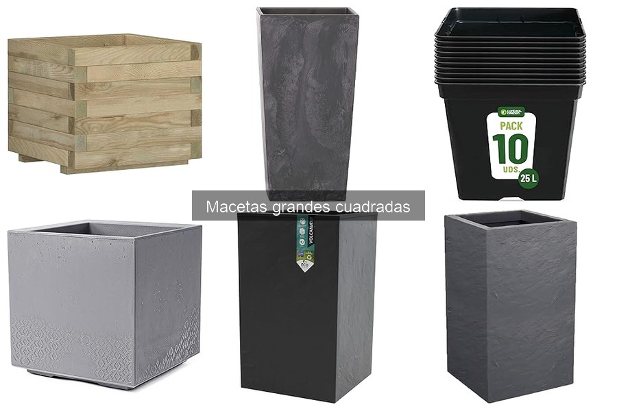 Problemas Comunes con Macetas Grandes Cuadradas y Soluciones