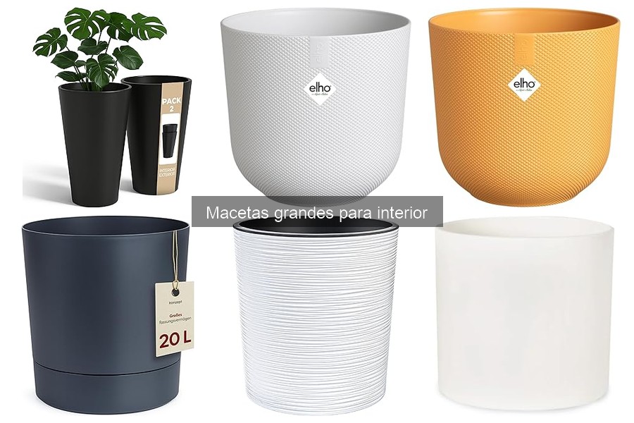 Problemas comunes con macetas grandes para interior y soluciones