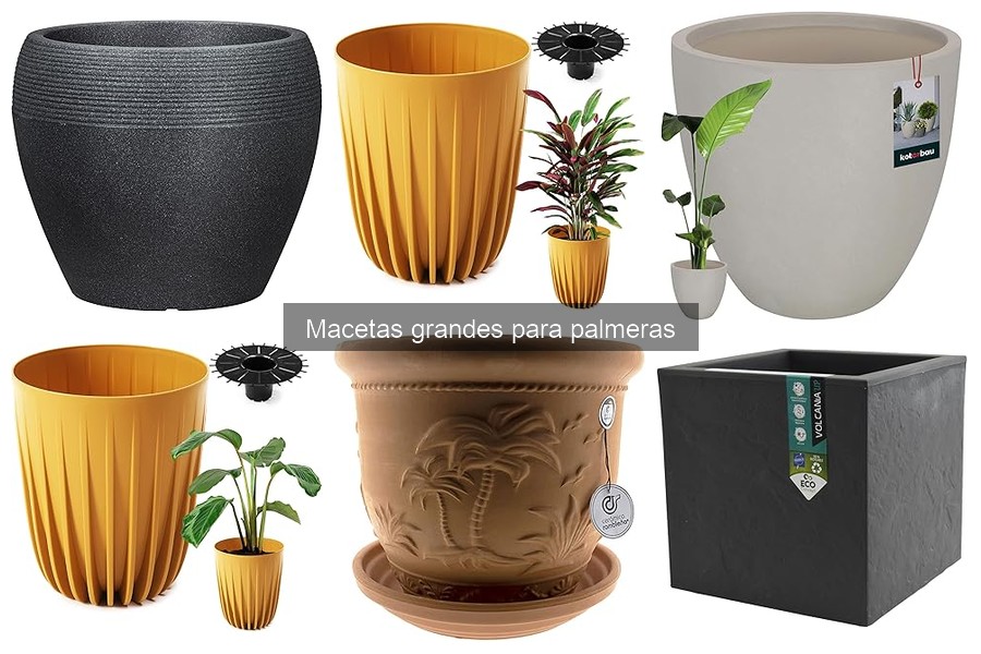 Problemas Comunes con Macetas Grandes para Palmeras