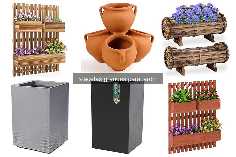 Problemas comunes con macetas grandes y cómo solucionarlos