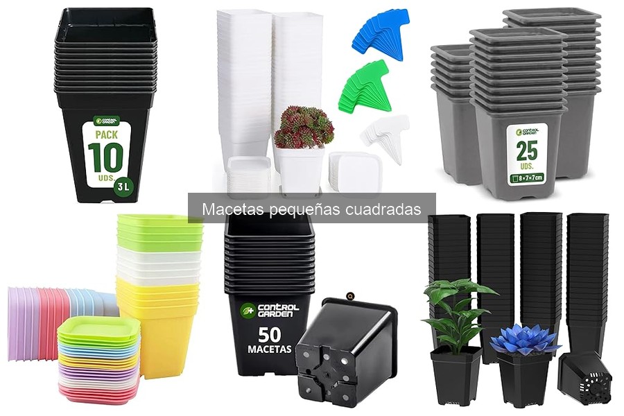 Problemas comunes con macetas pequeñas cuadradas y soluciones