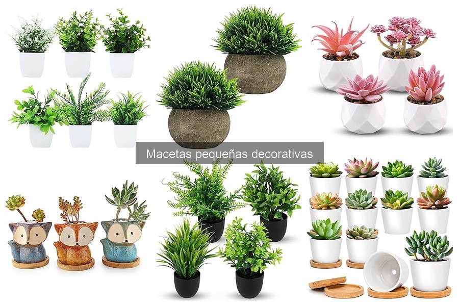 Problemas Comunes con Macetas Pequeñas Decorativas y Soluciones