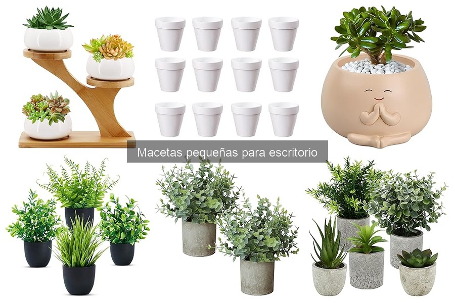 Problemas comunes con macetas pequeñas para escritorio