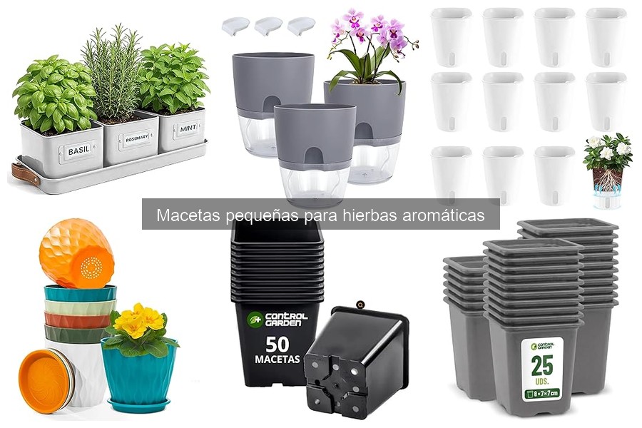 Problemas comunes con macetas pequeñas para hierbas aromáticas