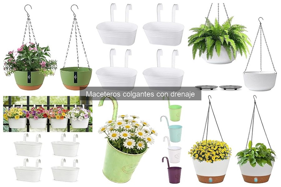 Problemas comunes con maceteros colgantes con drenaje