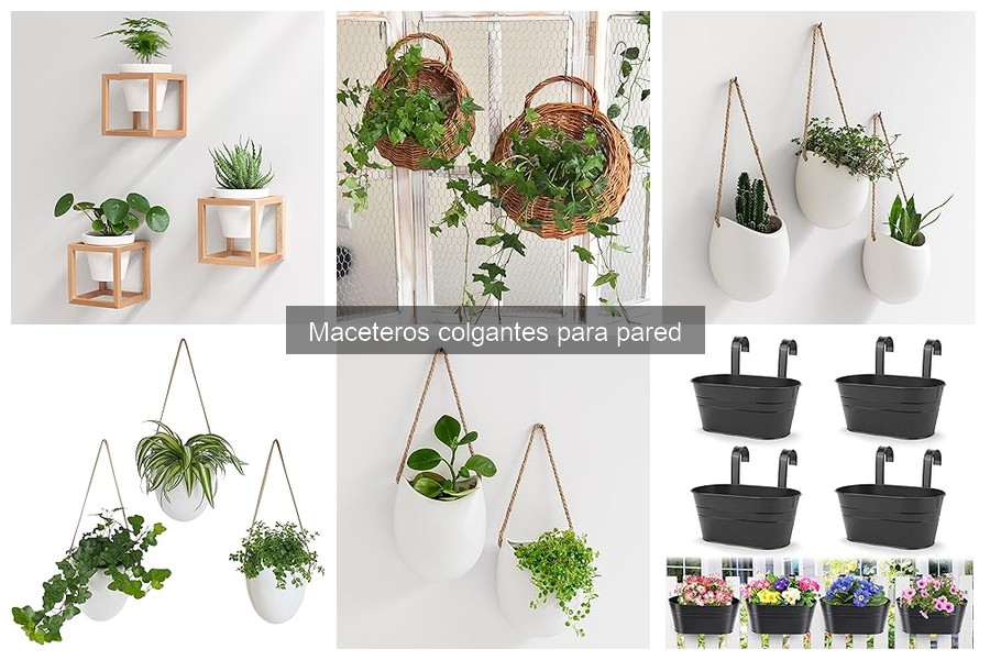 Problemas comunes con maceteros colgantes y soluciones