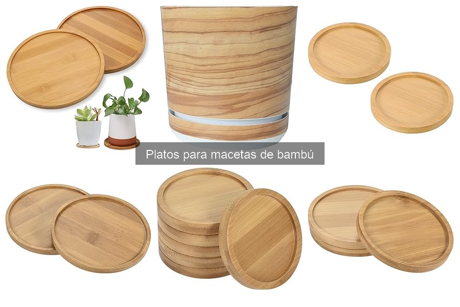 Problemas comunes con platos para macetas de bambú y soluciones