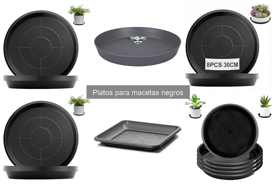 Problemas comunes con platos para macetas negros y soluciones