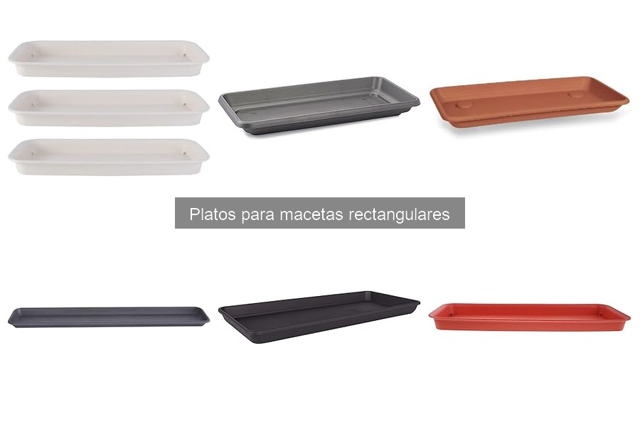 Problemas comunes con platos para macetas rectangulares