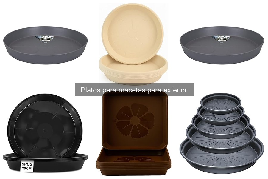 Problemas comunes con platos para macetas y soluciones