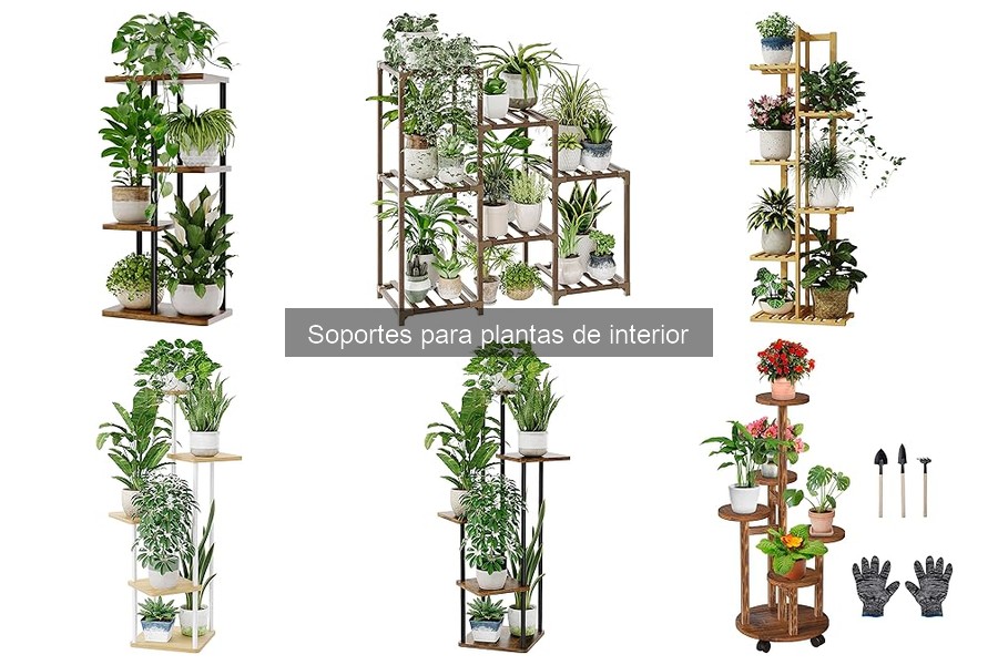 Problemas Comunes con Soportes para Plantas de Interior