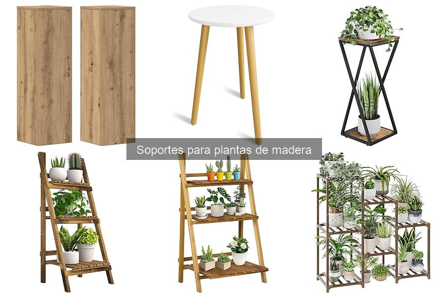** Problemas comunes con soportes para plantas de madera y sus soluciones