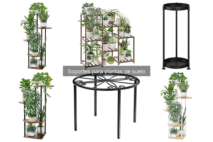 Problemas comunes con soportes para plantas de suelo