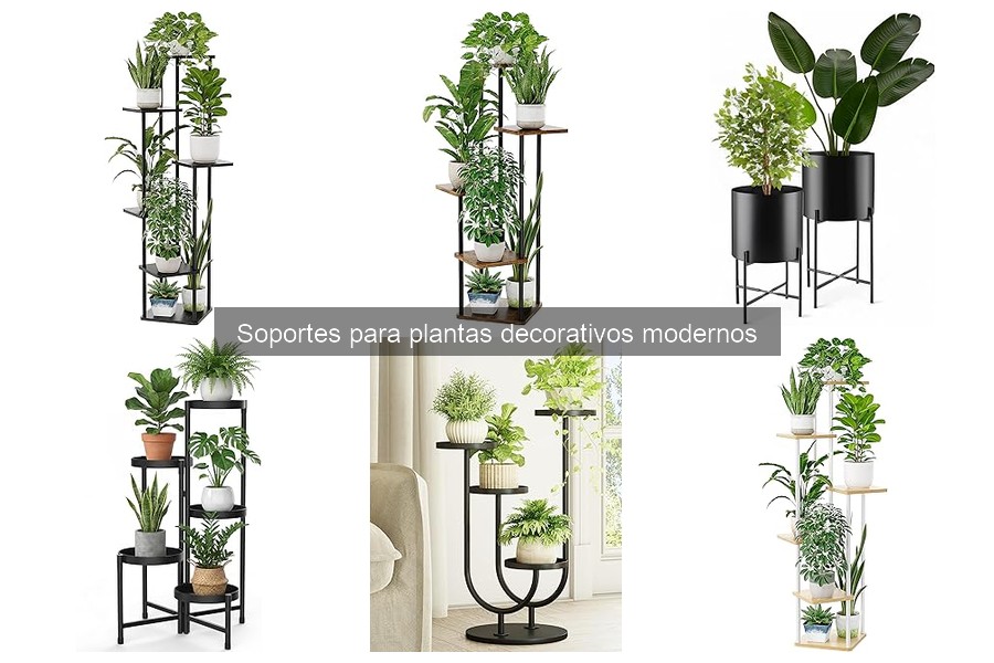 Problemas comunes con soportes para plantas decorativos modernos
