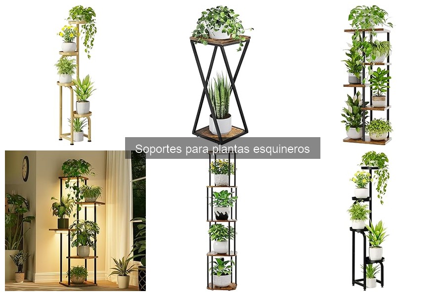 Problemas comunes con soportes para plantas esquineros