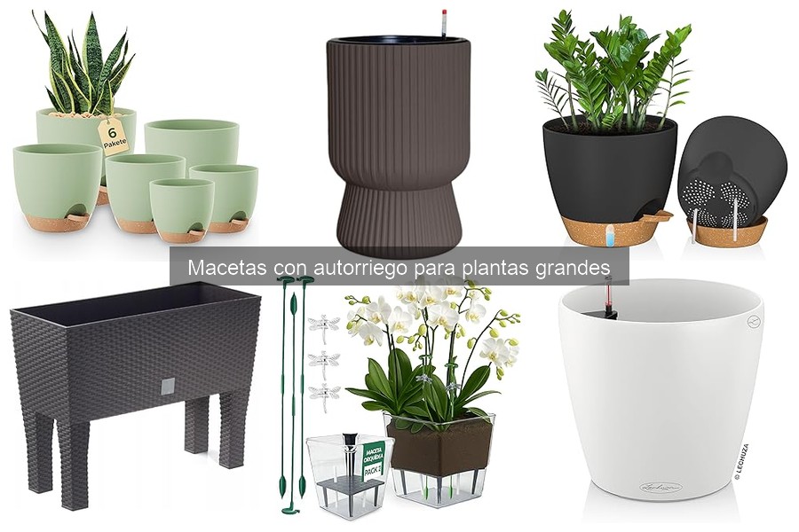 Problemas comunes de macetas con autorriego para plantas grandes