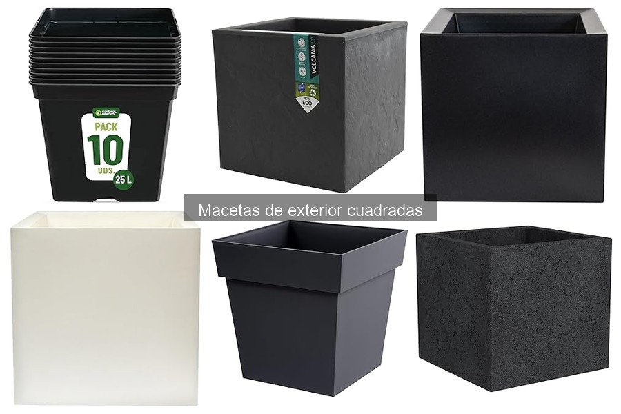 Problemas comunes de macetas cuadradas en exteriores