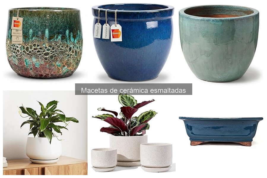 Problemas comunes de macetas de cerámica esmaltadas y soluciones