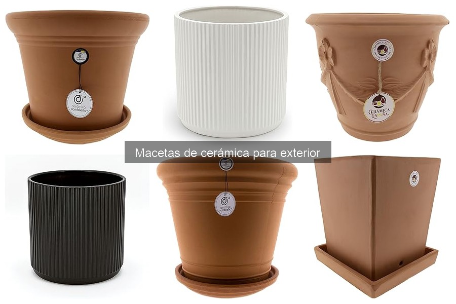 Problemas comunes de macetas de cerámica para exterior
