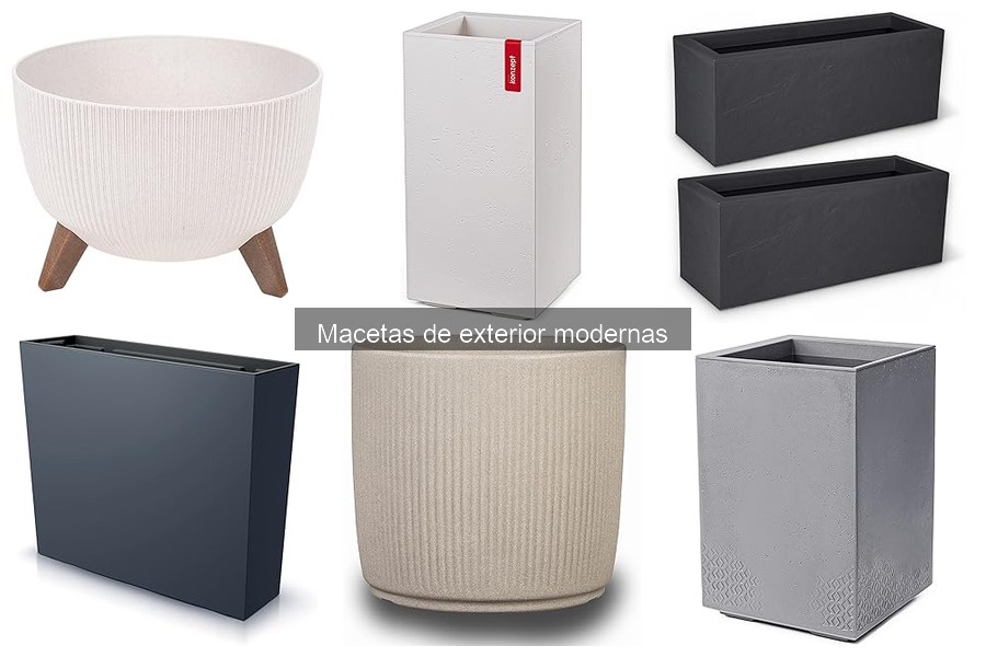 Problemas comunes de macetas de exterior y cómo solucionarlos
