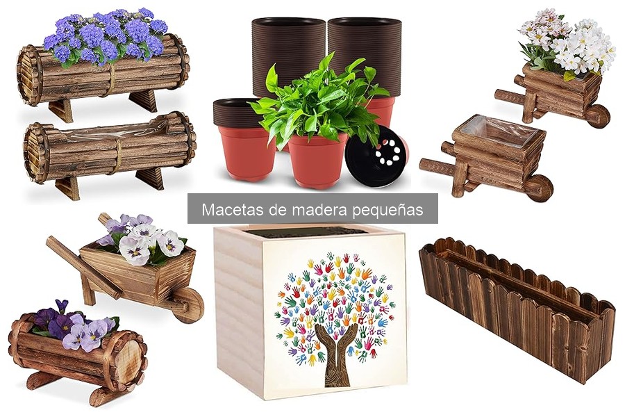 Problemas comunes de macetas de madera pequeñas y soluciones
