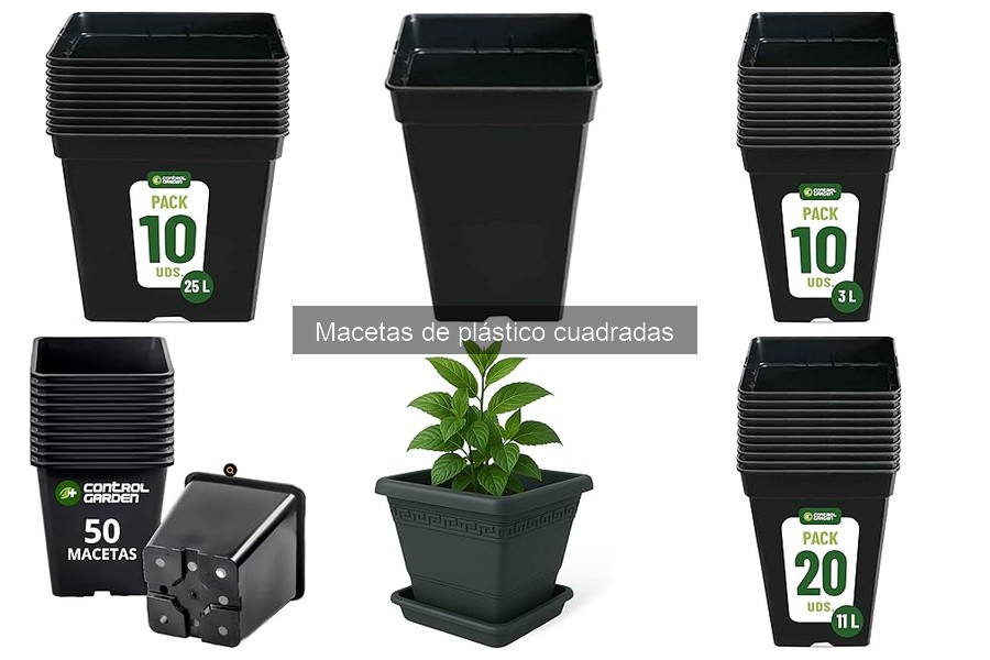 Problemas Comunes de Macetas de Plástico Cuadradas y Soluciones