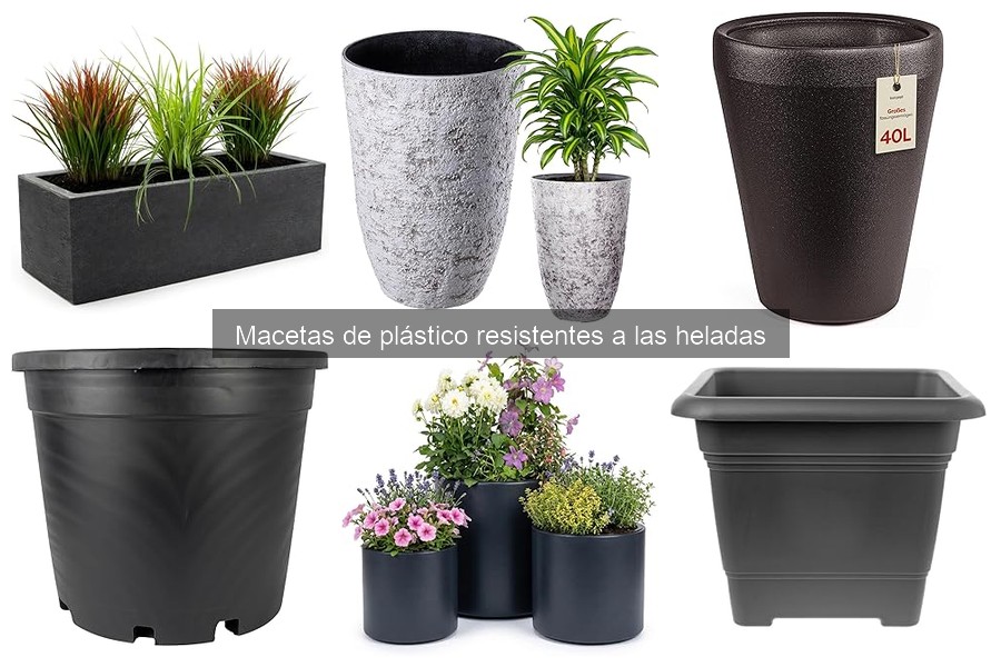 Problemas comunes de macetas de plástico en invierno