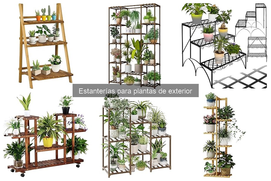 Problemas comunes y soluciones para estanterías de plantas
