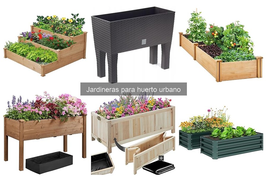 Problemas de drenaje en jardineras para huerto urbano