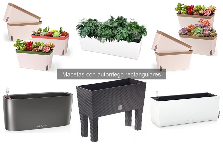 Problemas de sobre-riego en macetas de autorriego
