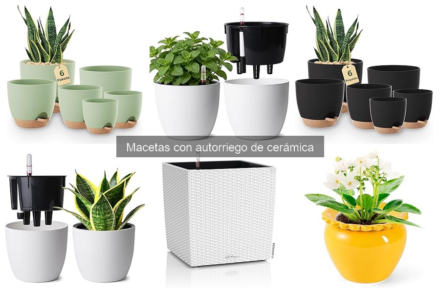 Problemas frecuentes con macetas de autorriego de cerámica