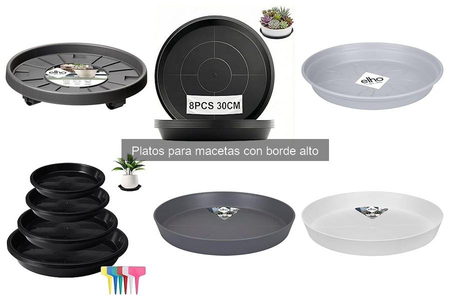 Problemas y soluciones al usar platos para macetas con borde alto