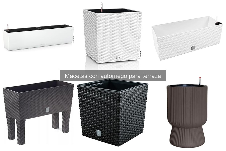 Problemas y soluciones en macetas con autorriego