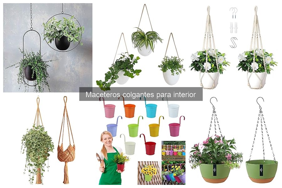 Proyectos DIY: Crea Maceteros Colgantes para Tu Hogar