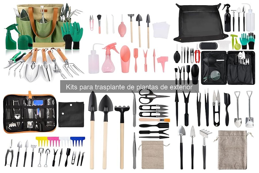 ¿Qué es un kit de trasplante de plantas? Descubre su utilidad