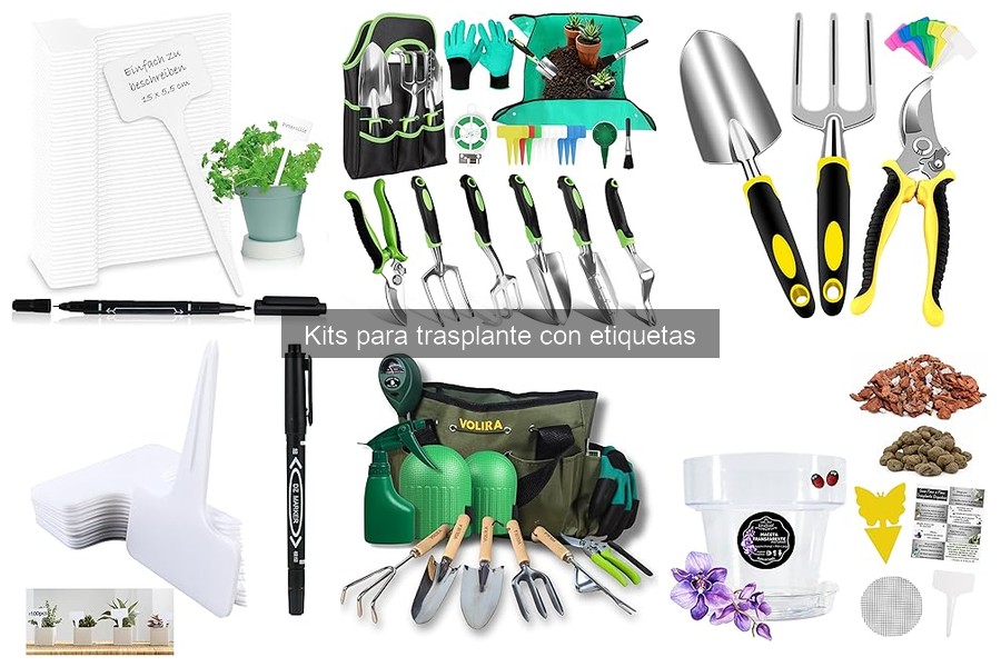 ¿Qué es un kit para trasplante con etiquetas? Descubre sus componentes