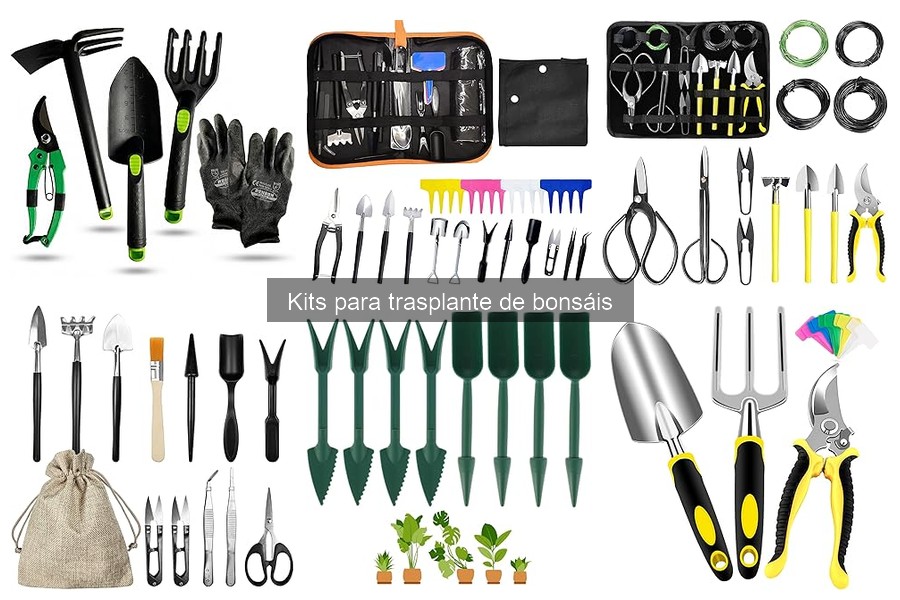Qué es un kit para trasplante de bonsáis y sus componentes