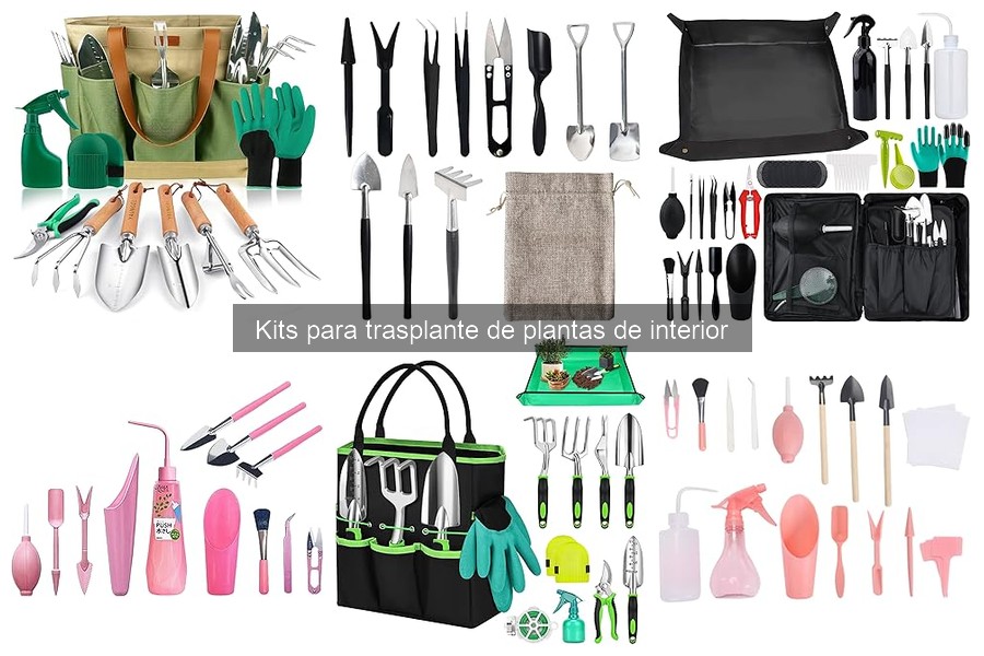 ¿Qué es un kit para trasplante de plantas de interior?