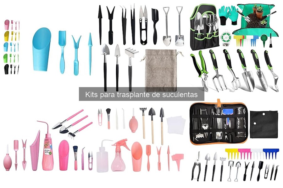 ¿Qué es un kit para trasplante de suculentas?
