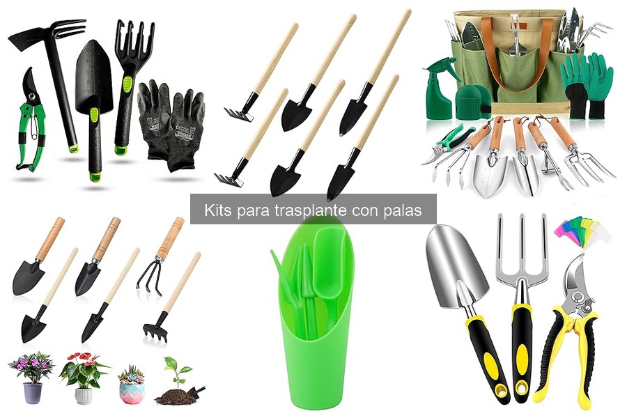 Qué es un kit para trasplante y qué incluye
