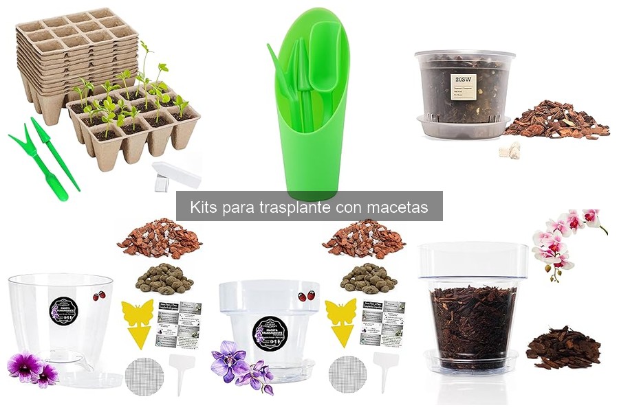 ¿Qué es un kit para trasplante y sus beneficios?