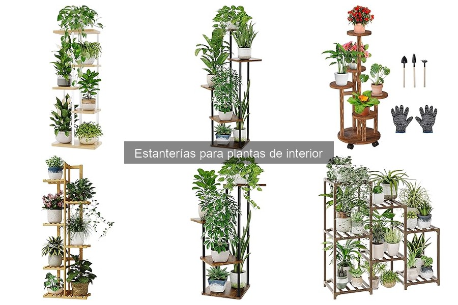 ¿Qué es una estantería para plantas de interior?