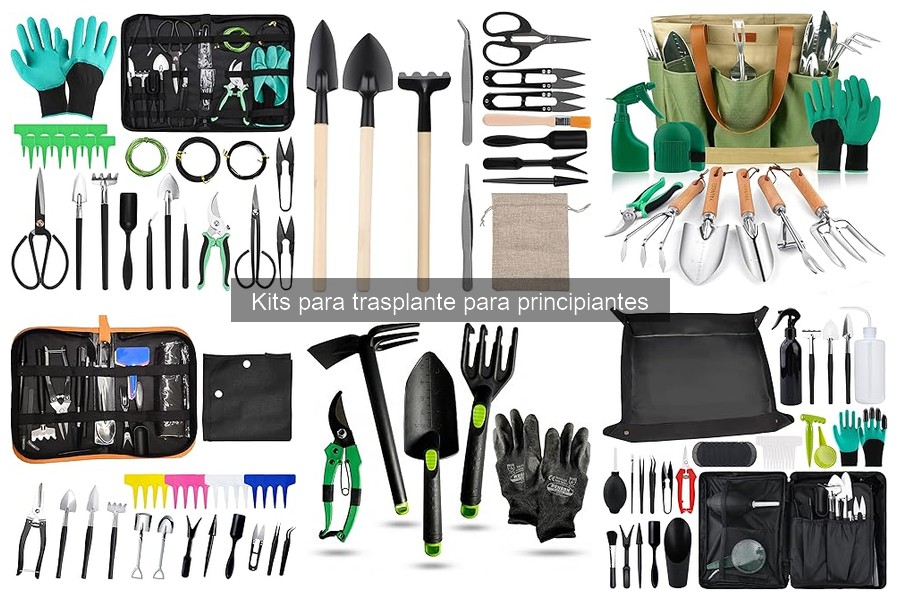 ¿Qué incluir en un kit de trasplante DIY? Guía para principiantes
