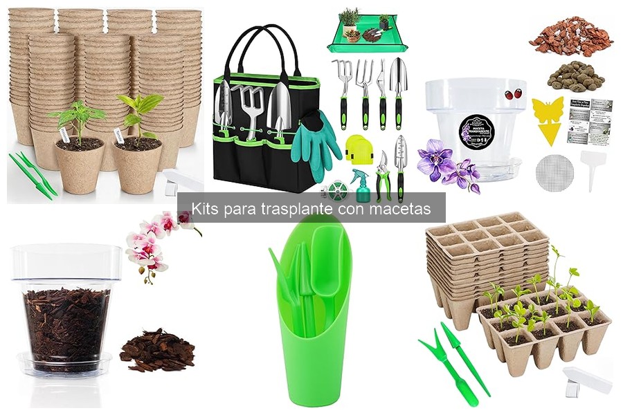 ¿Qué incluye típicamente un kit para trasplante de plantas?
