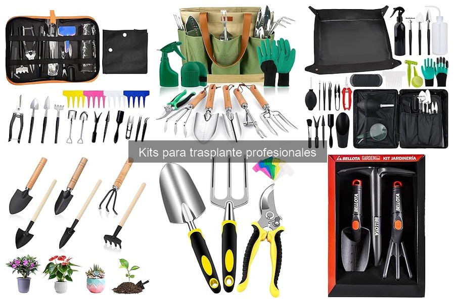 ¿Qué incluye un kit para trasplante profesional?