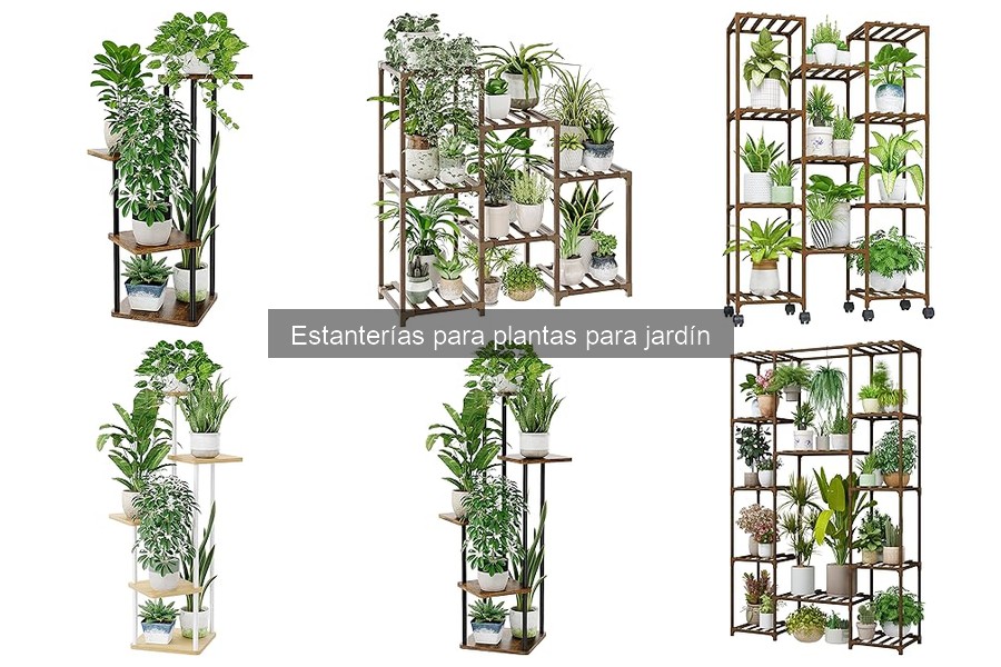 ¿Qué son las estanterías para plantas? Características claves
