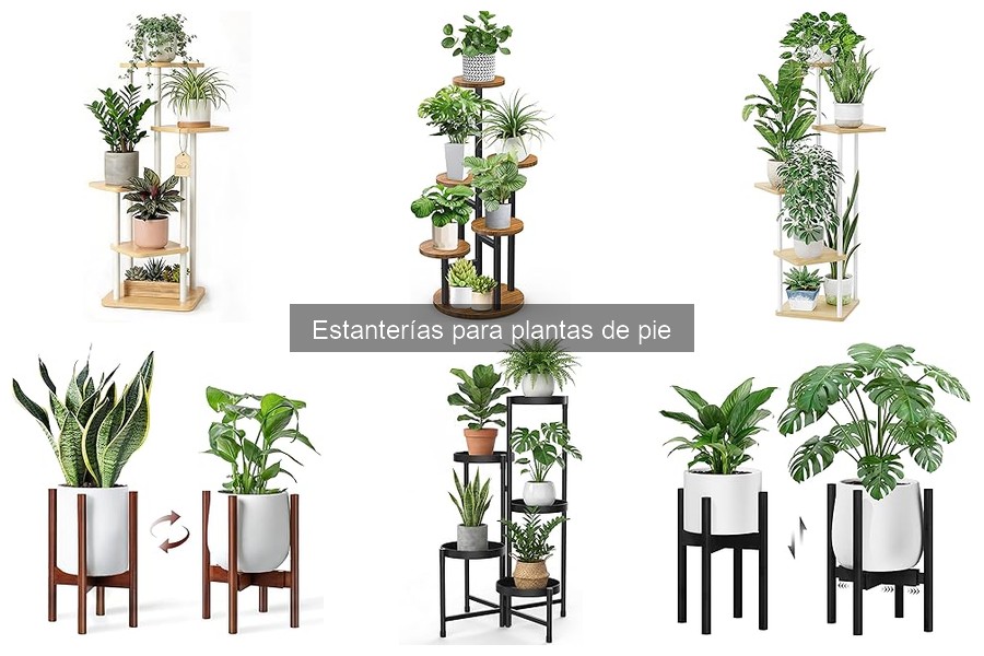 ¿Qué son las estanterías para plantas de pie? Características y Usos