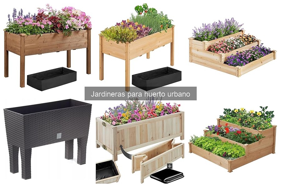 ¿Qué son las jardineras para huerto urbano? Beneficios y características
